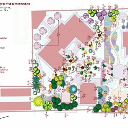 Проект ландшафтного дизайна участка - дендроплан и план по кустарникам